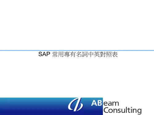 SAP 常用专有名词中英对照表