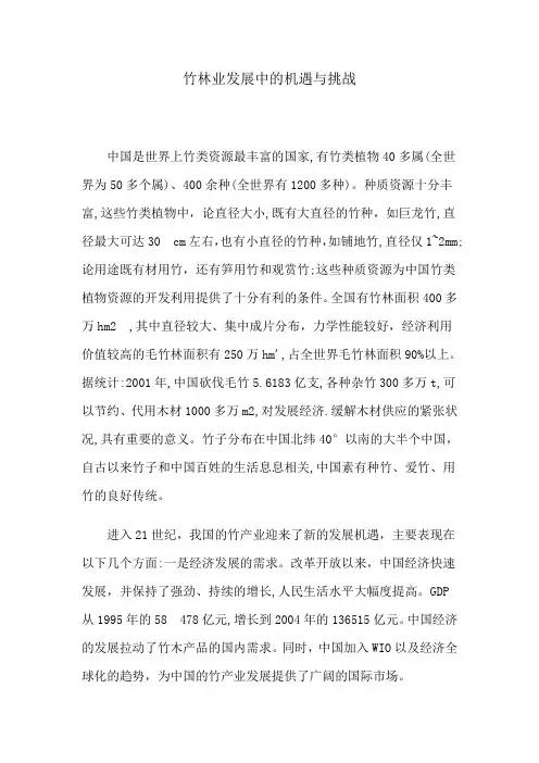 竹林业发展中的机遇与挑战