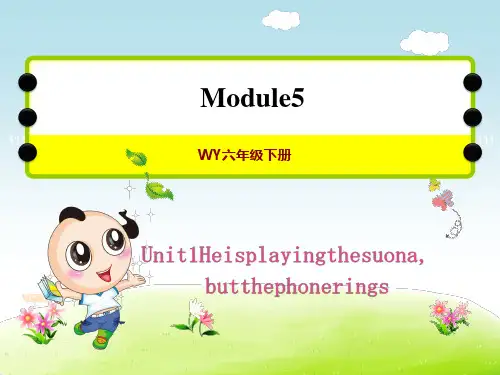 外研版六年级下册英语Module 5 Unit 1 Heisplayingthesuona,授课课件