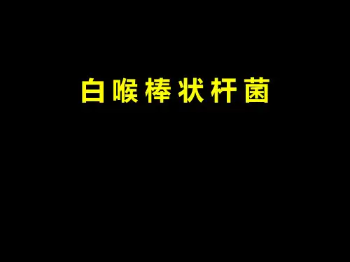 12 白喉棒状杆菌