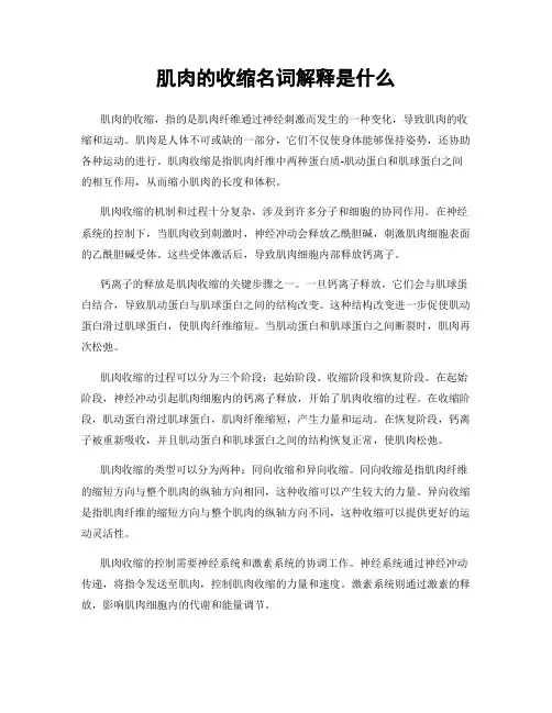 肌肉的收缩名词解释是什么