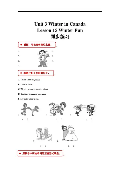六年级上册英语一课一练 - Unit 3 Winter in Canada Lesson 15 Winter Fun 冀教版(含答案)