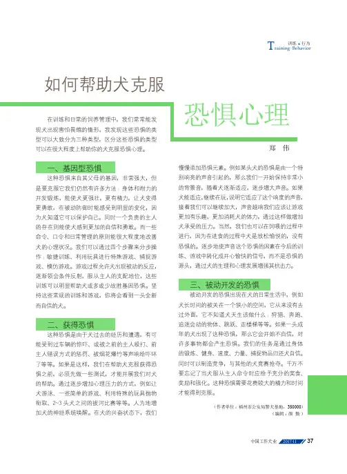 如何帮助犬克服恐惧心理
