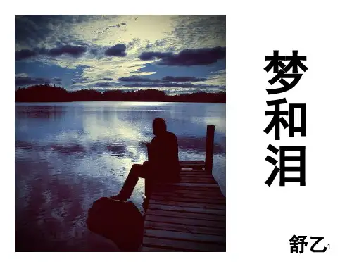 梦和泪(课堂PPT)