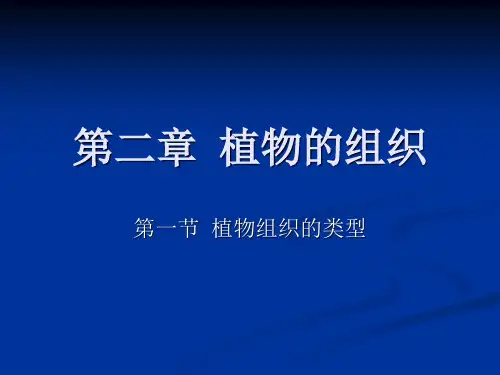 第二章  植物的组织