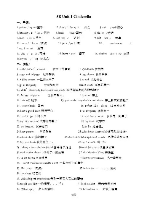新译林版五年级年级下册英语5B Unit 1 Cinderella 总结资料