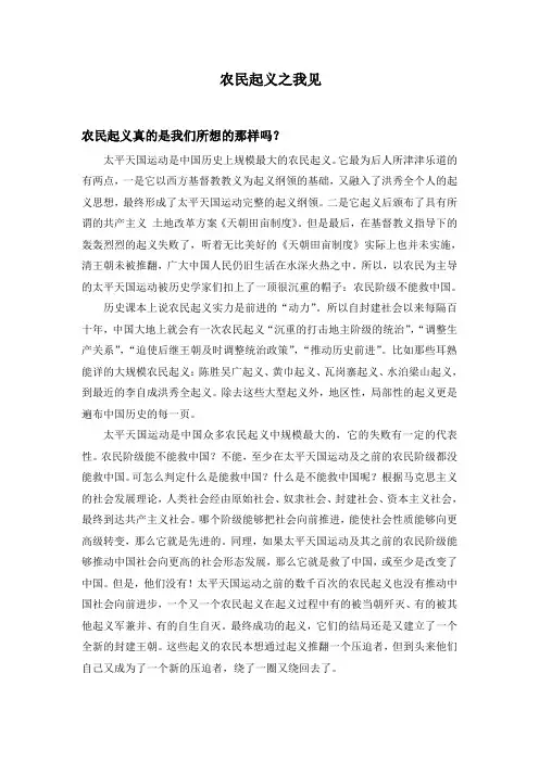 农民起义之我见