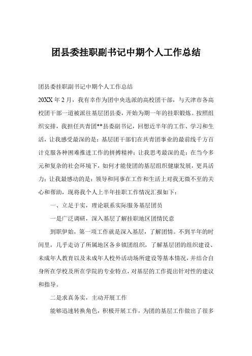 团县委挂职副书记中期个人工作总结