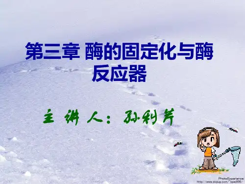 5.酶的固定化与酶反应器