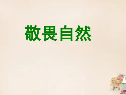 八年级语文下册第11课《敬畏自然》课件(新版)新人教版 (1)