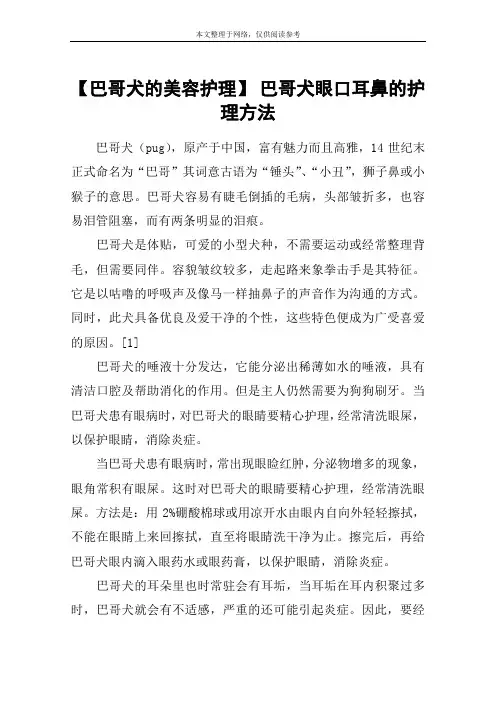 【巴哥犬的美容护理】 巴哥犬眼口耳鼻的护理方法