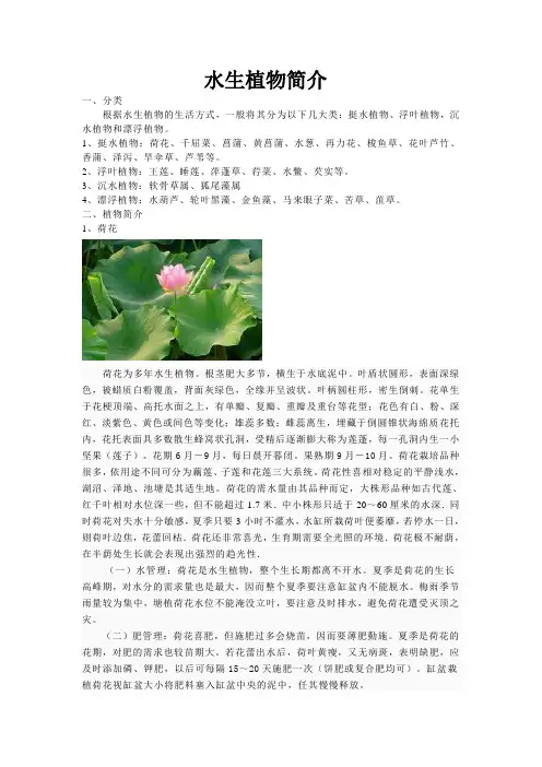 水生植物简介