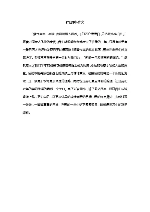 辞旧感怀作文