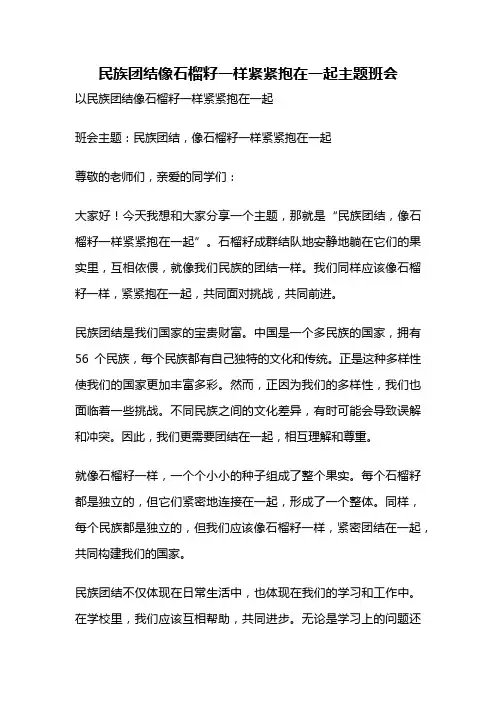民族团结像石榴籽一样紧紧抱在一起主题班会