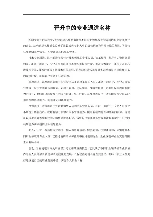晋升中的专业通道名称