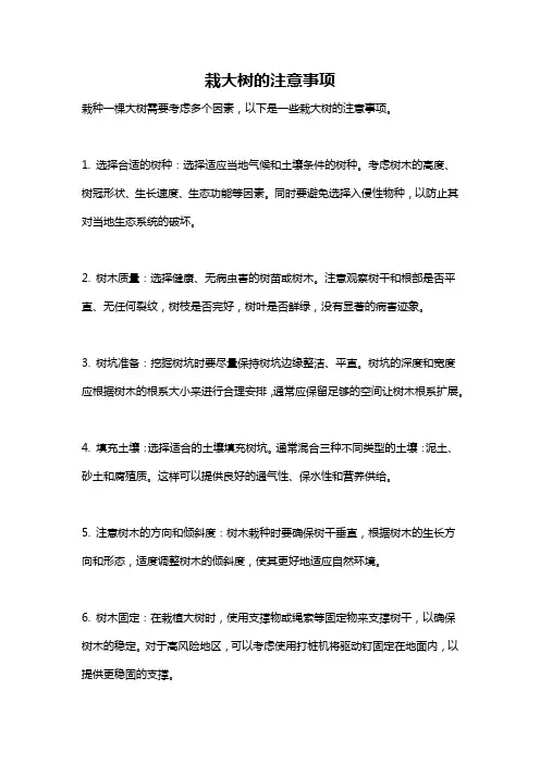 栽大树的注意事项