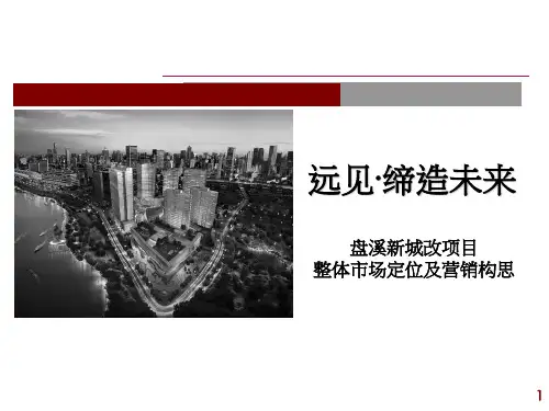 盘溪新城改项目整体市场定位及营销构思方案