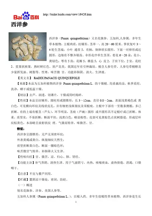 西洋参常识