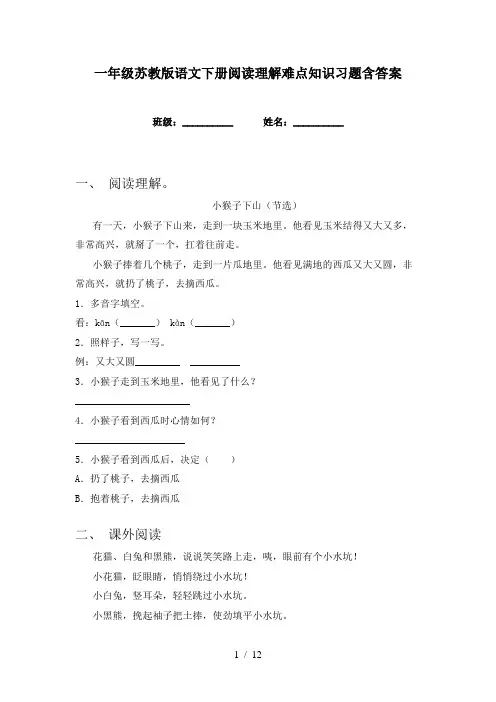 一年级苏教版语文下册阅读理解难点知识习题含答案