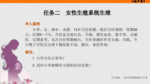 任务二女性生殖系统生理PPT演示幻灯片