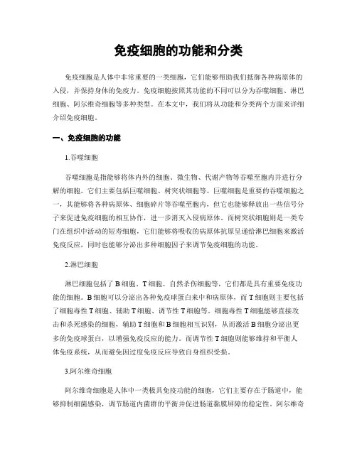 免疫细胞的功能和分类