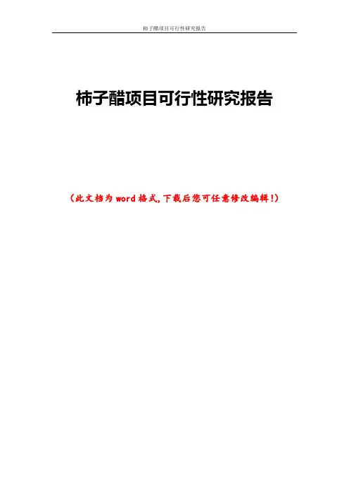 柿子醋项目可行性研究报告