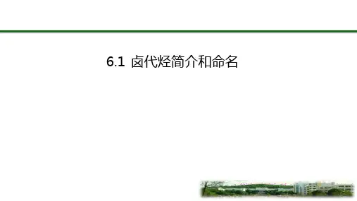 华中农业大学《有机化学》第六章 卤代烃