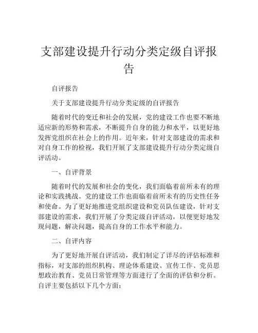 支部建设提升行动分类定级自评报告