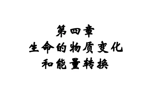 ATP PPT课件