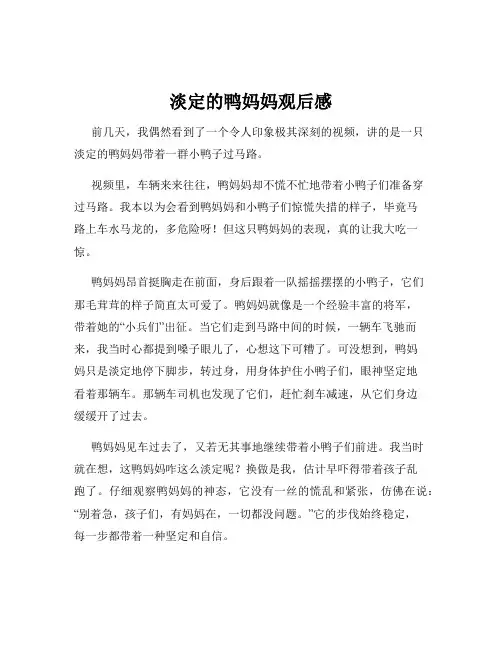 淡定的鸭妈妈观后感