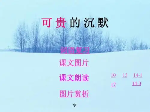 可 贵 的 沉 默(ppt精品课件)