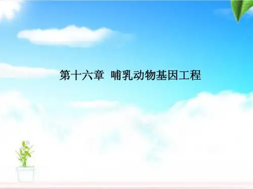 哺乳动物基因工程xin