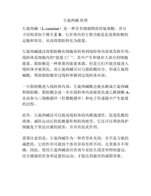 左旋肉碱 原理