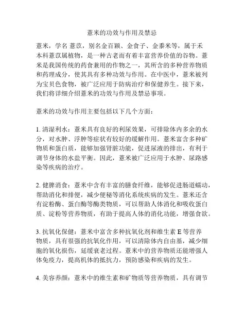 薏米的功效与作用及禁忌