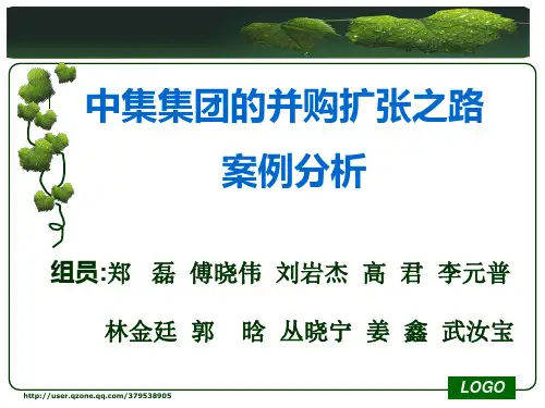 中集集团案例分析