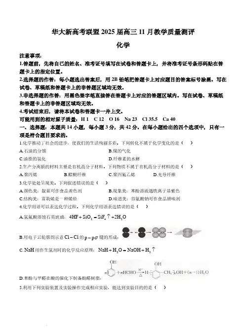 2025届湖北华大新高考联盟高三11月联考化学试卷+答案