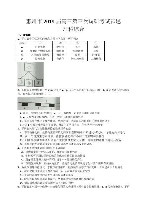 广东省惠州市2019届高三第三次调研考试理综试题