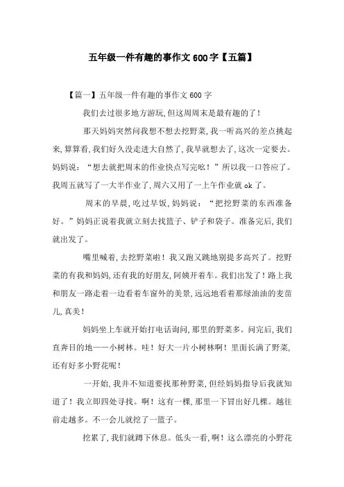 五年级一件有趣的事作文600字【五篇】