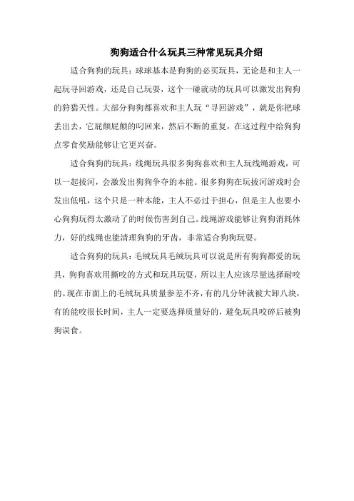 狗狗适合什么玩具三种常见玩具介绍