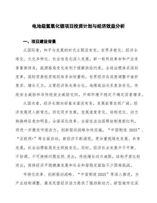 电池级氢氧化锂项目投资计划与经济效益分析