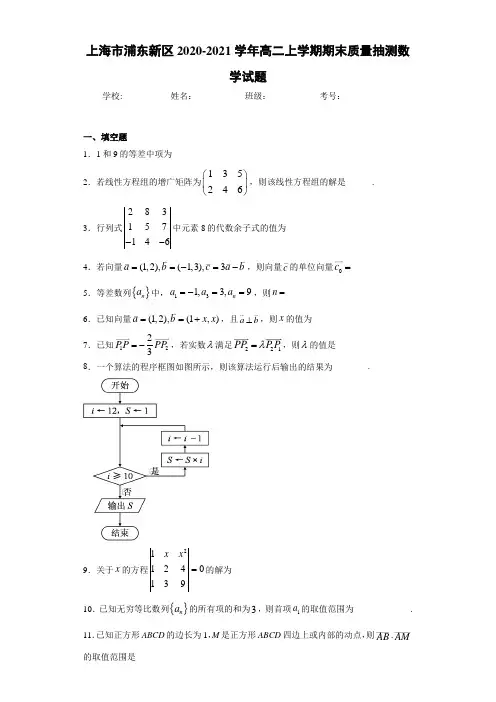 上海市浦东新区2020-2021学年高二上学期期末质量抽测数学试题