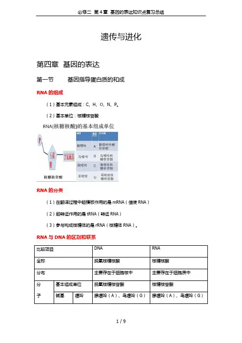 必修二  第4章  基因的表达知识点复习总结