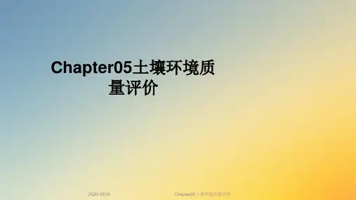 Chapter05土壤环境质量评价