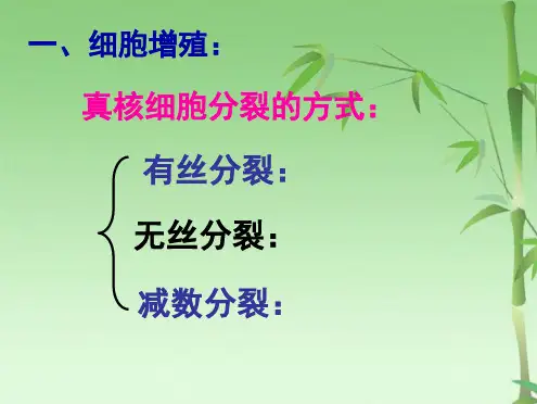 必修一一轮复习第章第讲有丝分裂和减数分裂(共45张PPT)