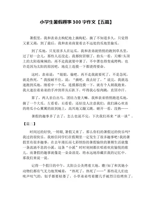 小学生暑假趣事300字作文【五篇】
