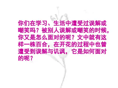 七年级语文百合花开(PPT)4-2