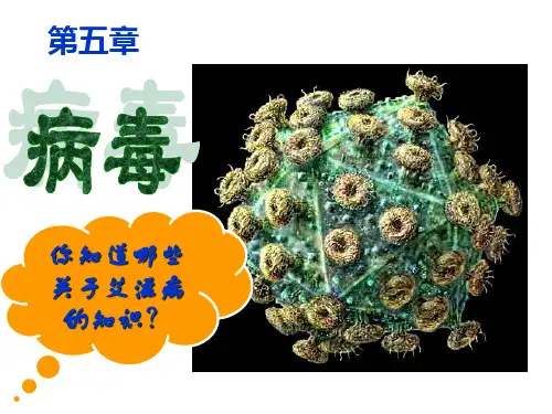 人教版八上生物 5.5《病毒》 课件 (共34张PPT)