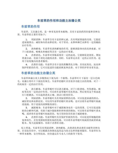 车前草的作用和功能主治蒲公英