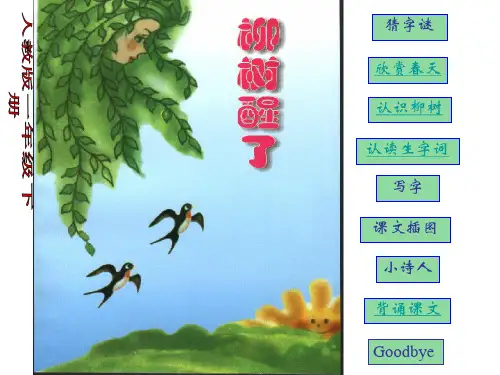 《柳树醒了》1PPT课件