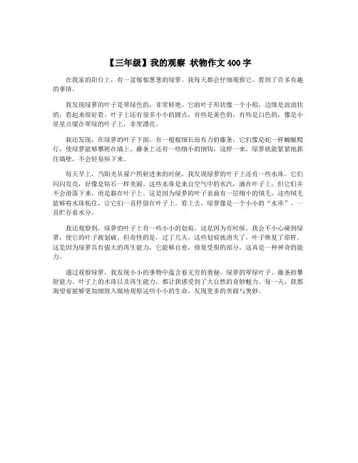 【三年级】我的观察 状物作文400字